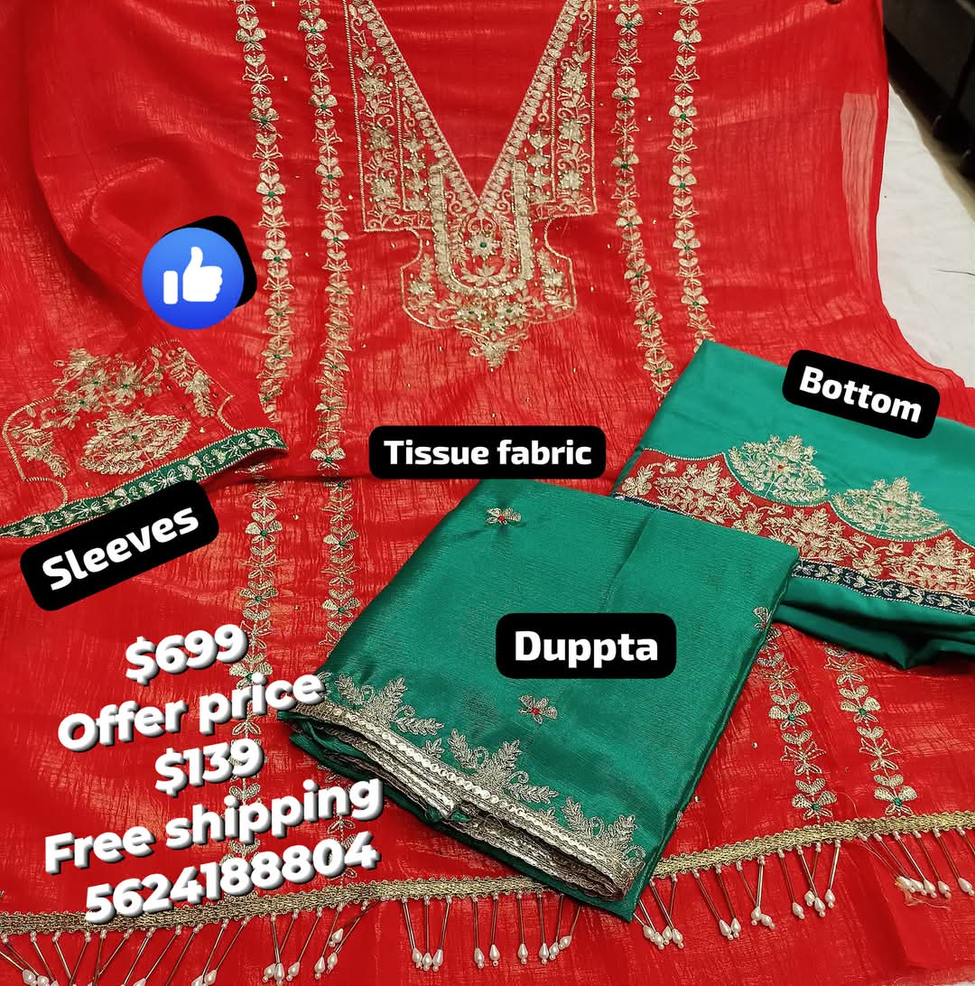 Crush shimmer tissue handwork embroidered suit